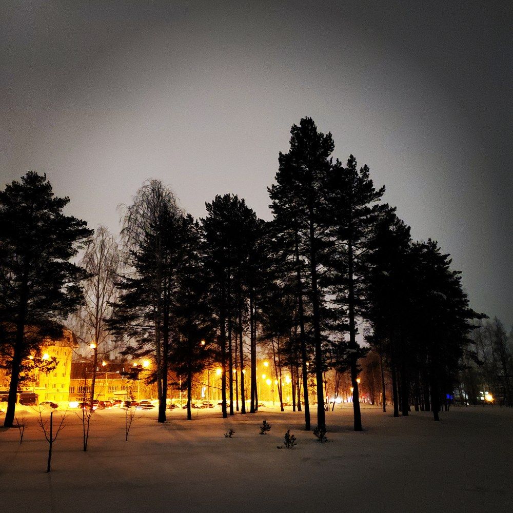 Photograph by Наталья Светлова
