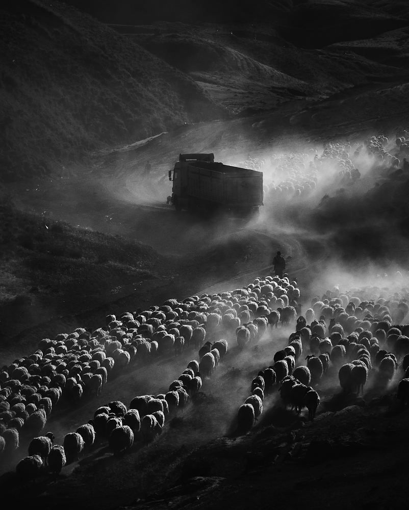 Фотография автора Gılcan Mete Delibay