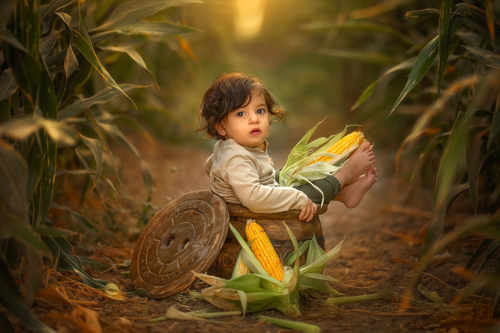 Photograph by yarden kaplan