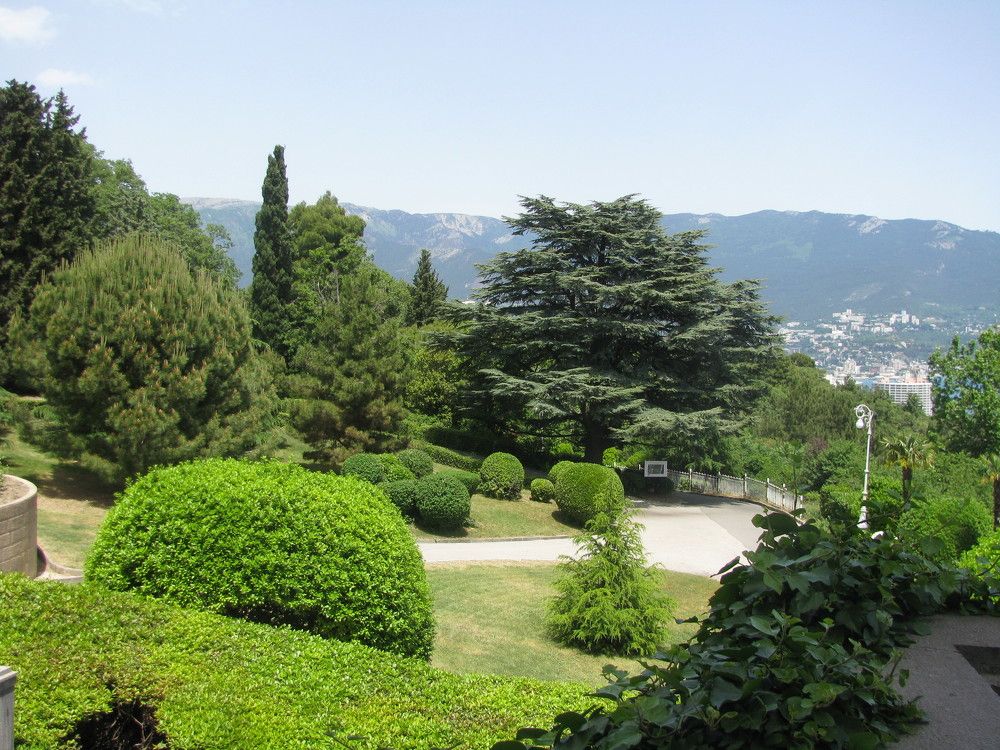 Photograph by Любовь Матвеева