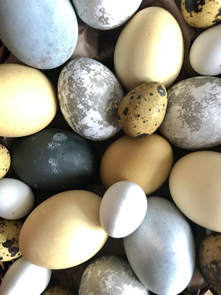 Photograph by Светлана Осипова