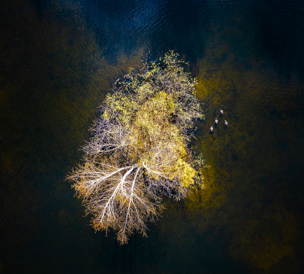 Photograph by Владимир