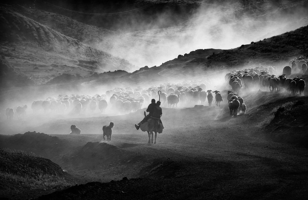 Фотография автора Gılcan Mete Delibay