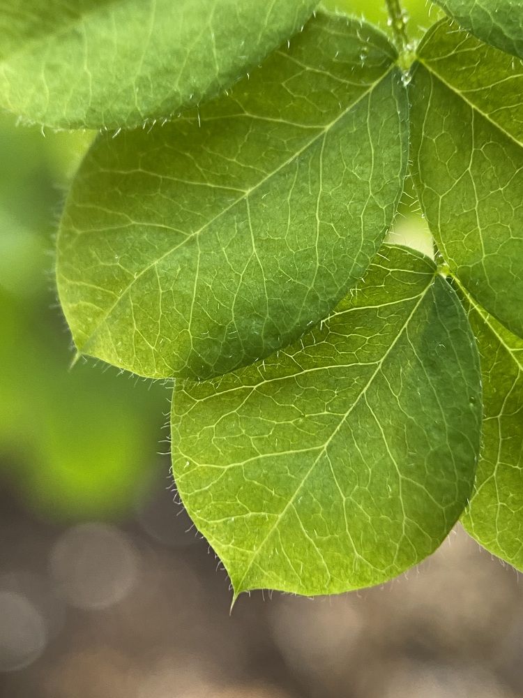 Фотография автора Наталья Василькова