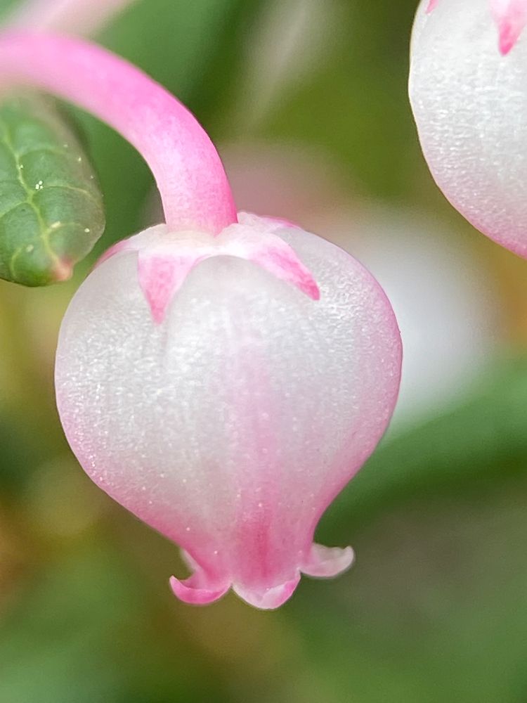 Фотография автора Наталья Василькова