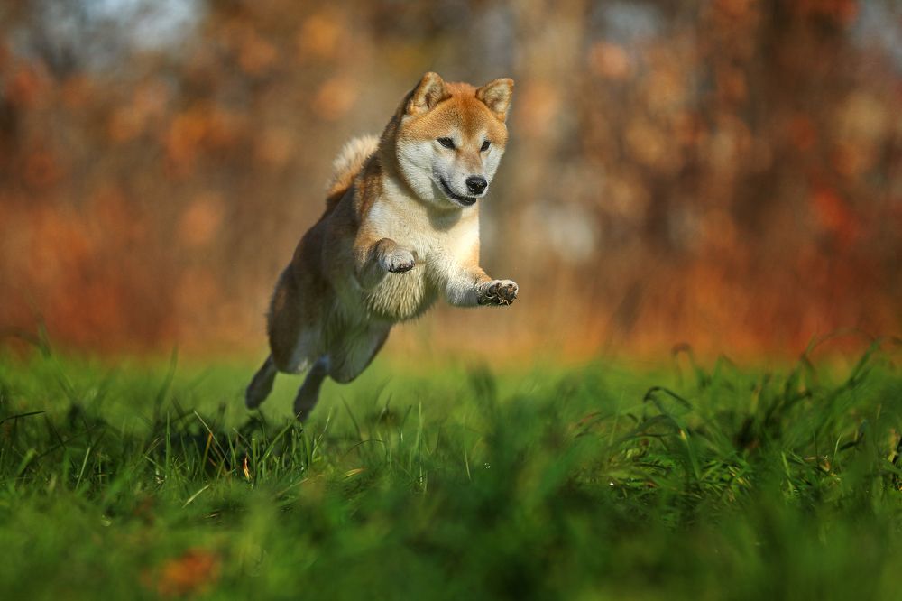 Photograph by Андрей Ершов