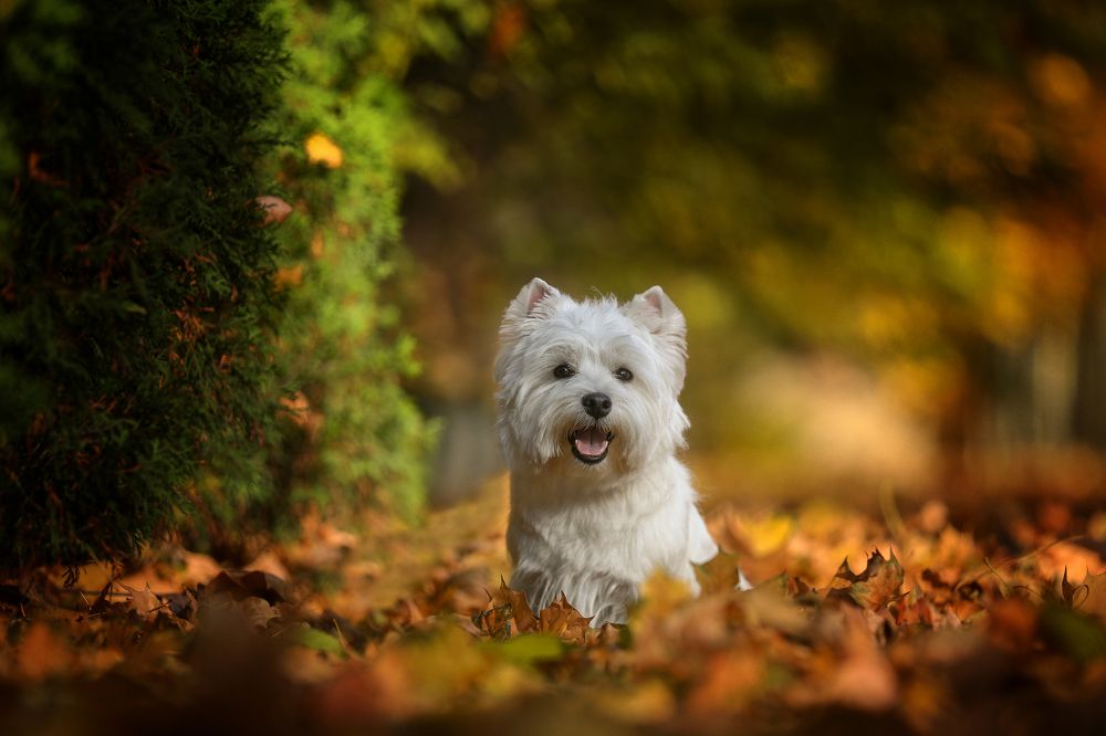 Photograph by Андрей Ершов