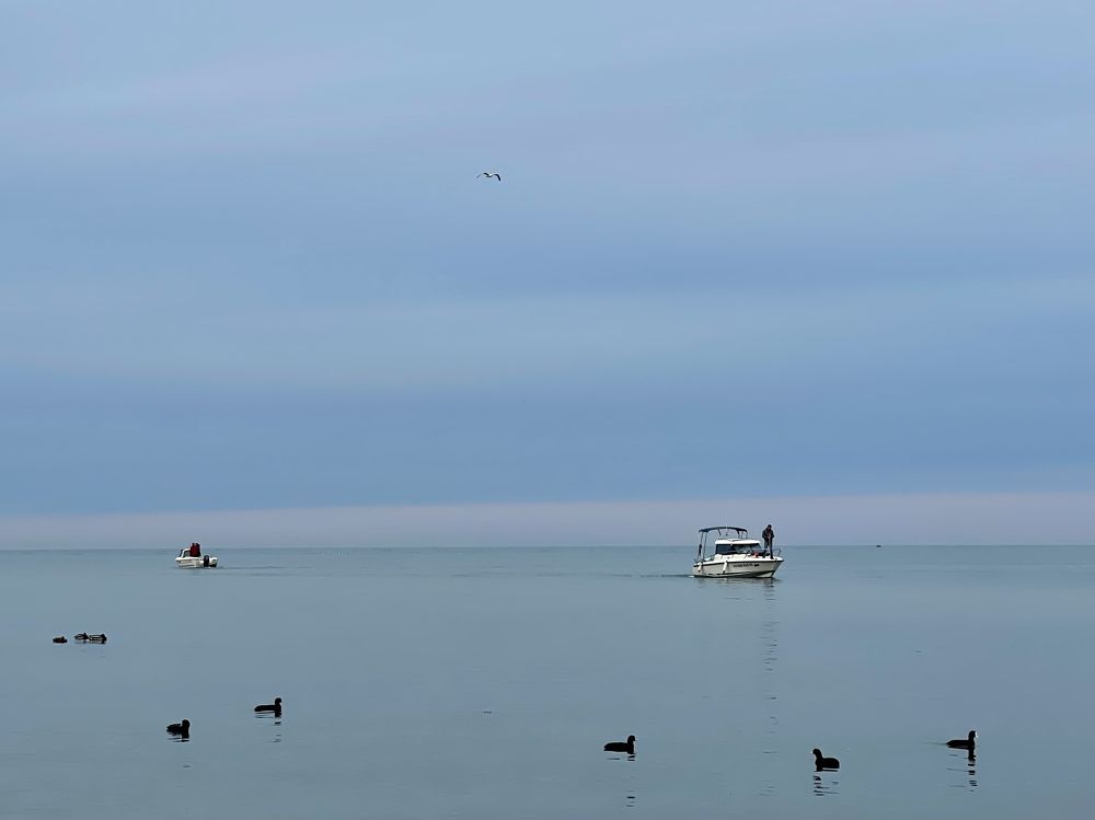 Photograph by Мария Ковригина