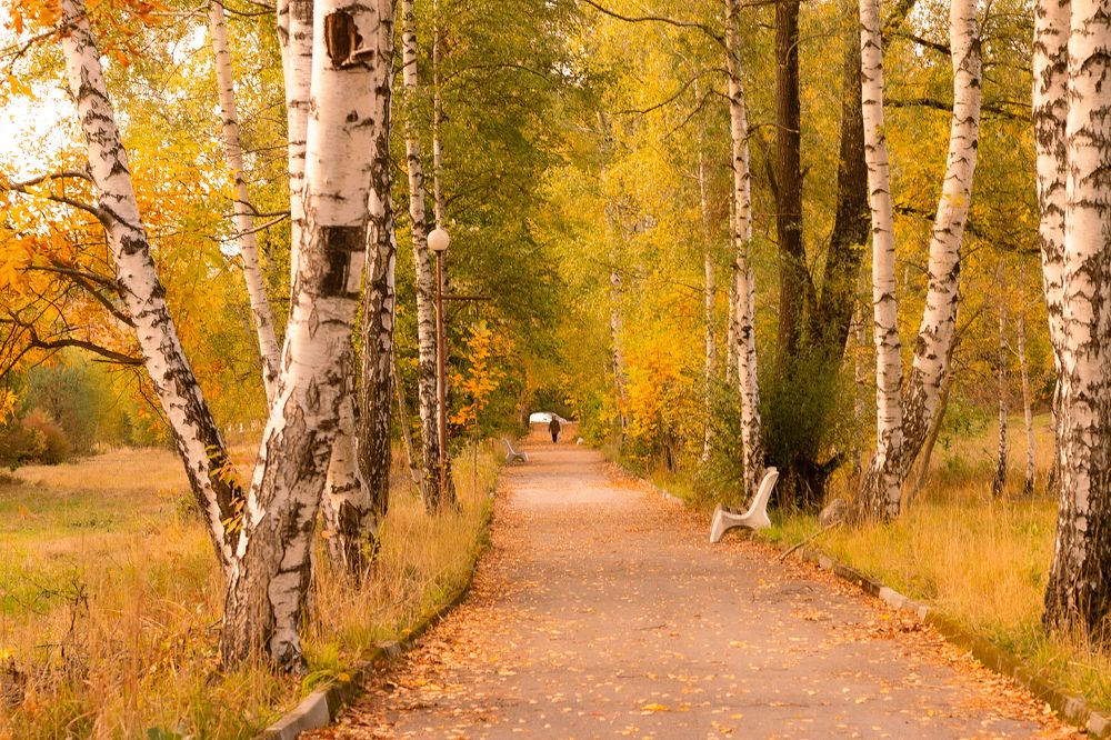 Photograph by Daniel Chobanov