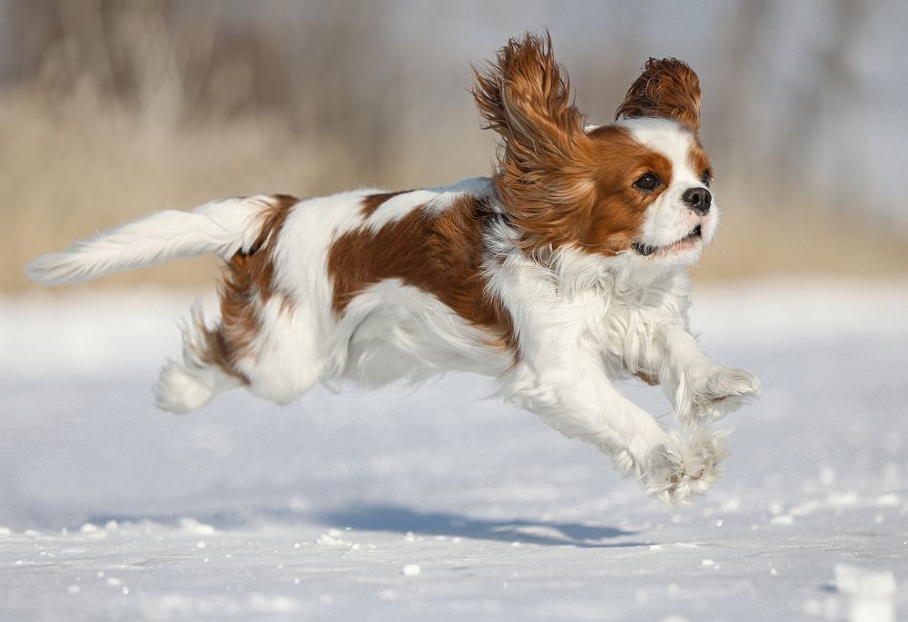 Photograph by Андрей Ершов