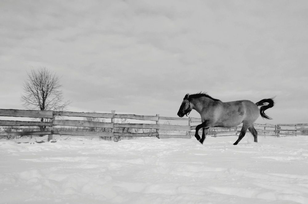 Photograph by Ляйсан