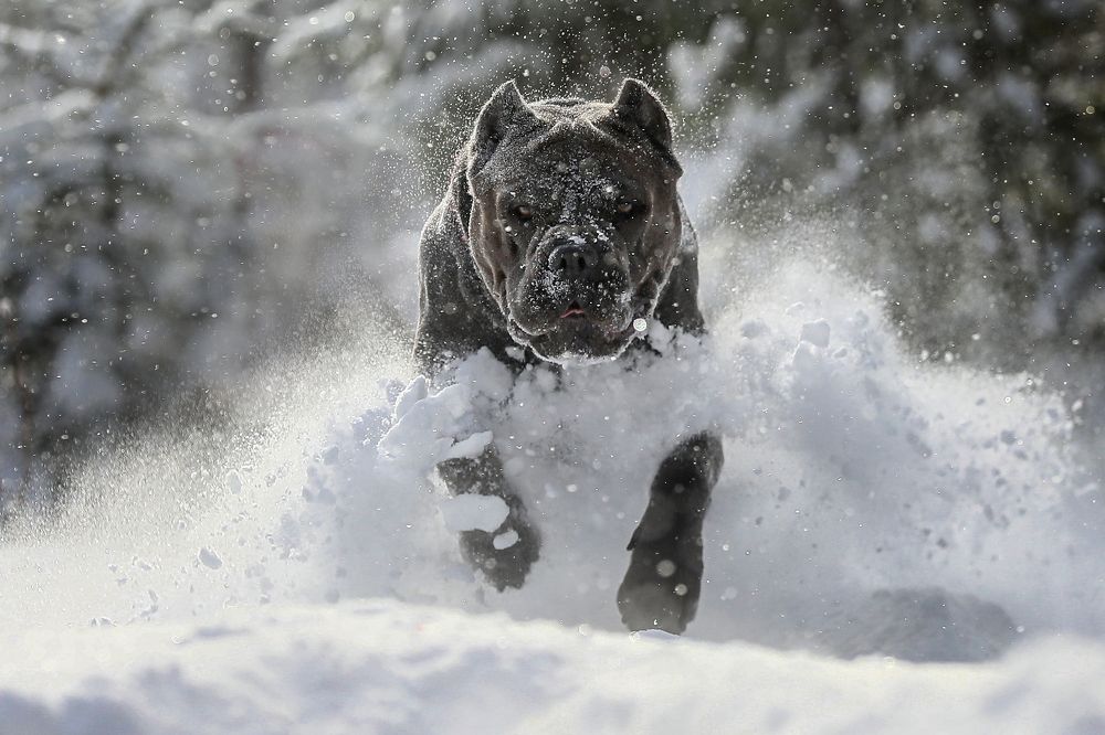 Photograph by Андрей Ершов