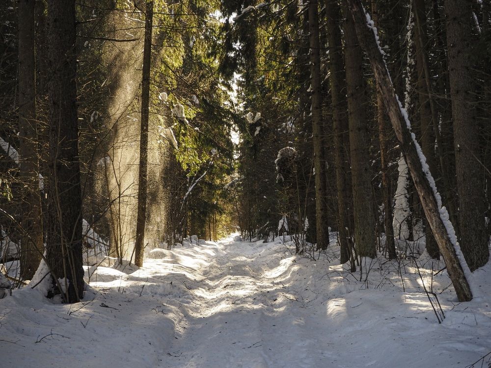 Photo #7303366