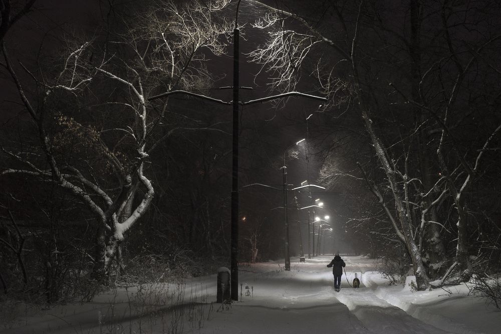 Photograph by Алексей Александрович