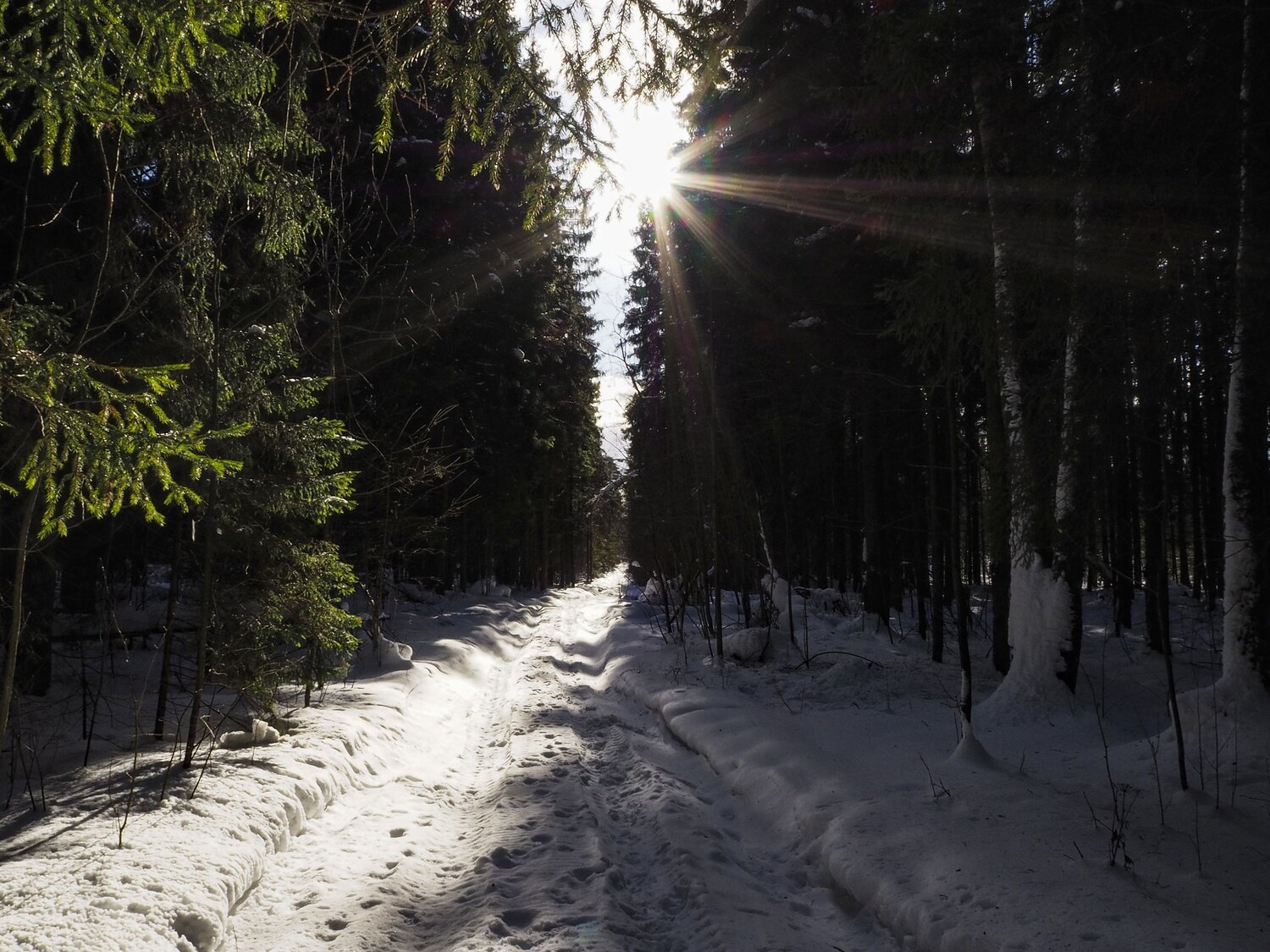 Photo #7303391