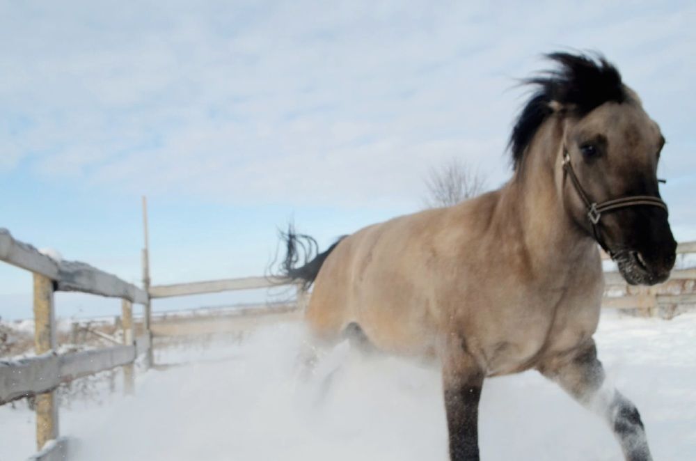 Photograph by Ляйсан