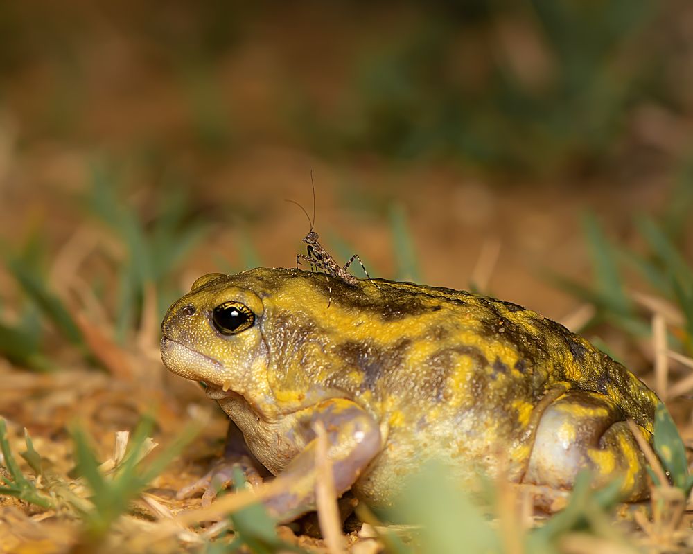 Photograph by Karthikeyan P