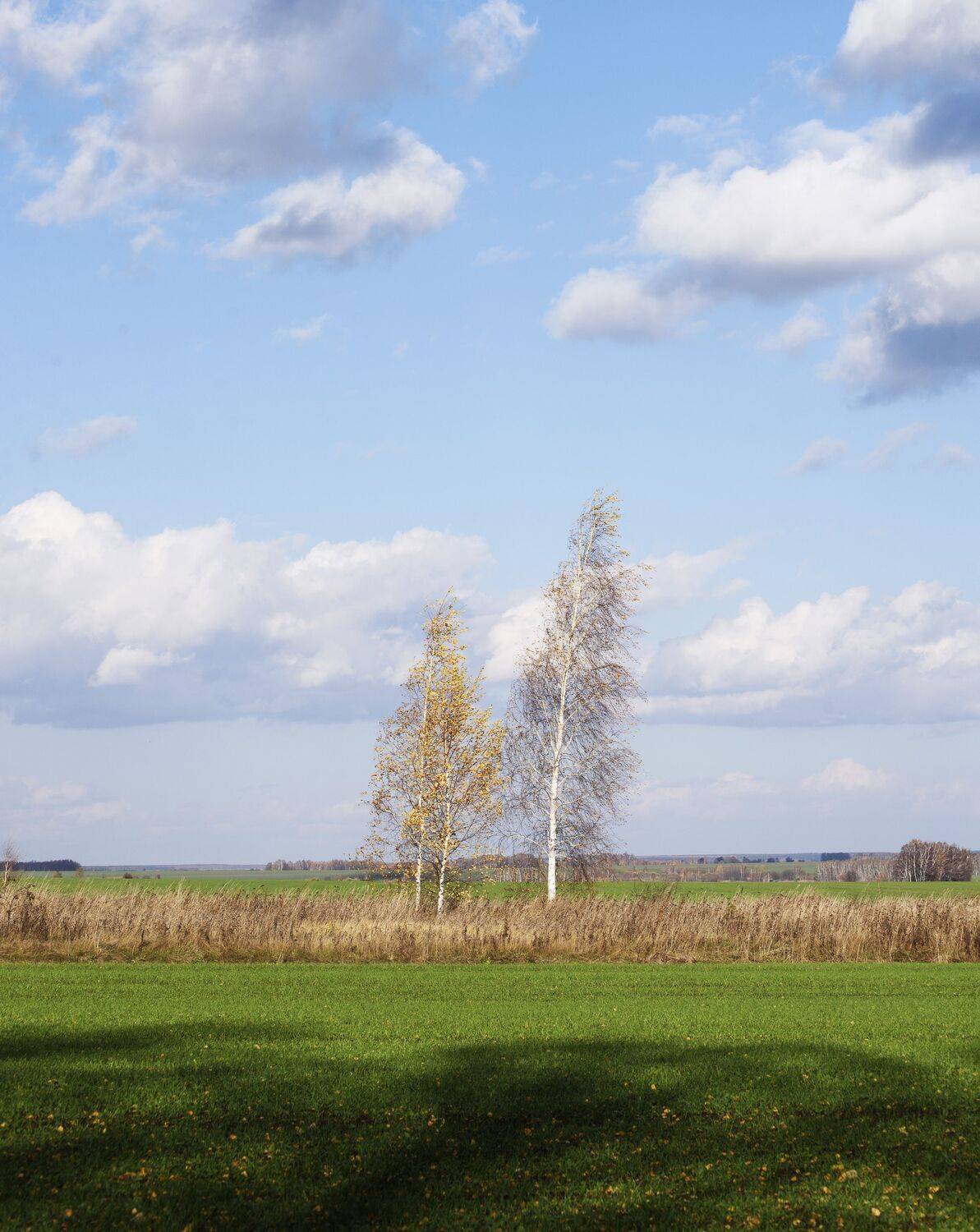 Photo #7303472