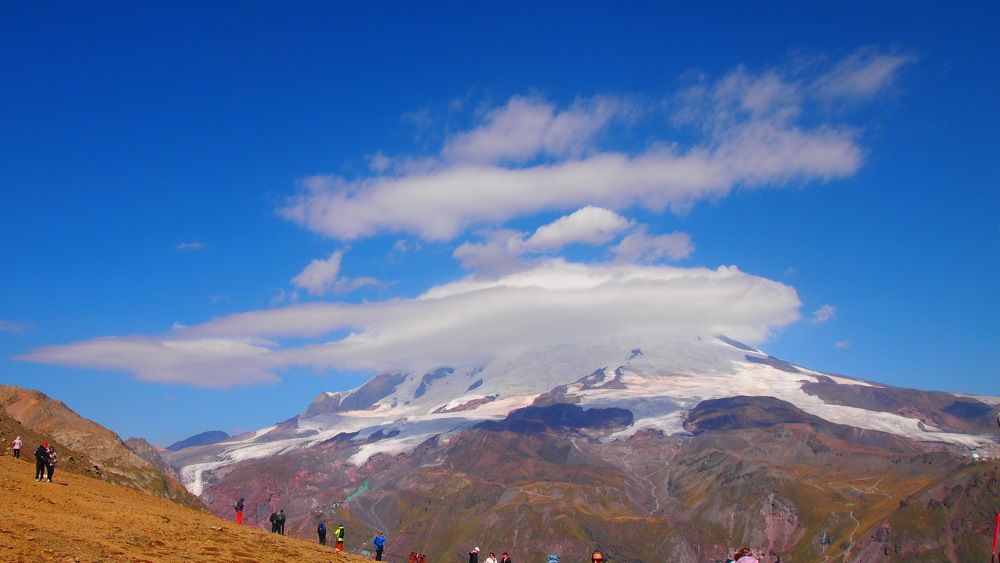 Photograph by Lia Rogers