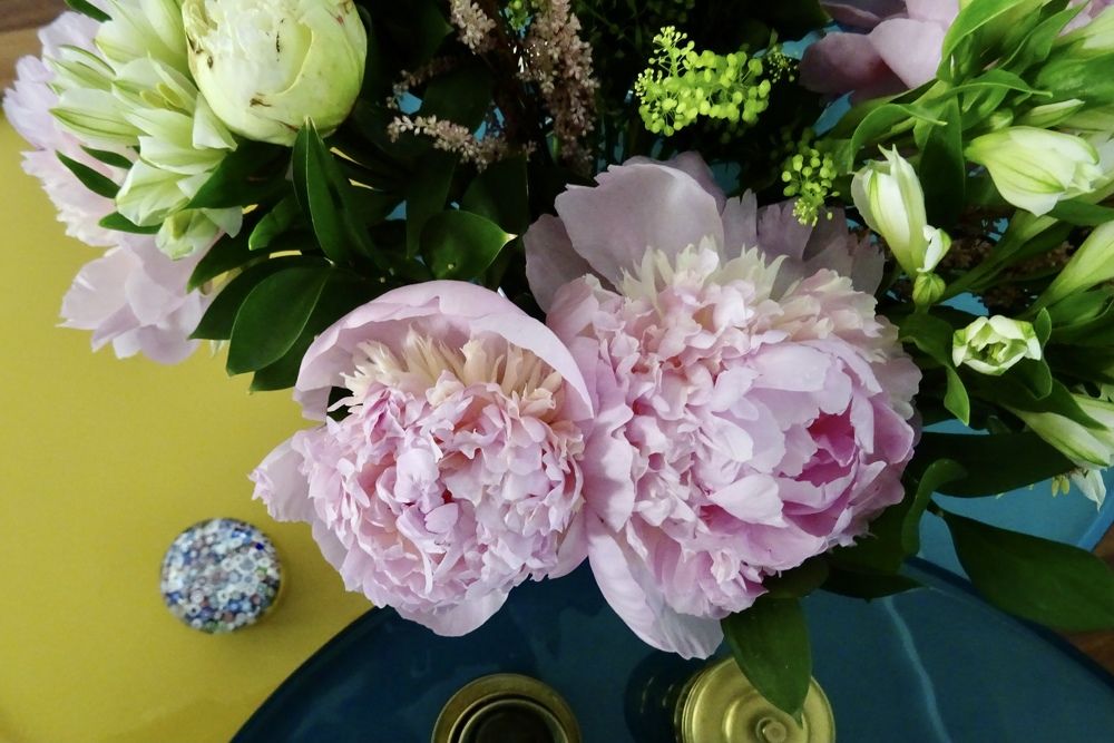 Photograph by Christine ECHEVET-ADAM de VILLIERS