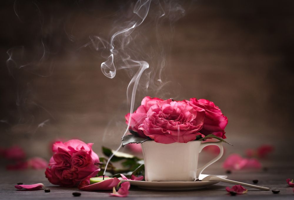 Photograph by Анна Штабель