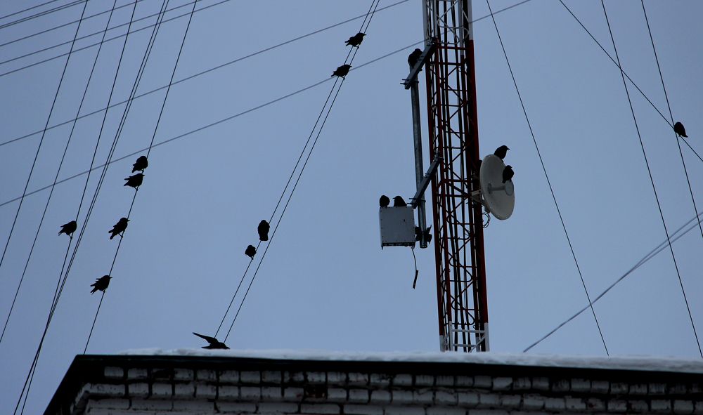 Photograph by Игорь Быков