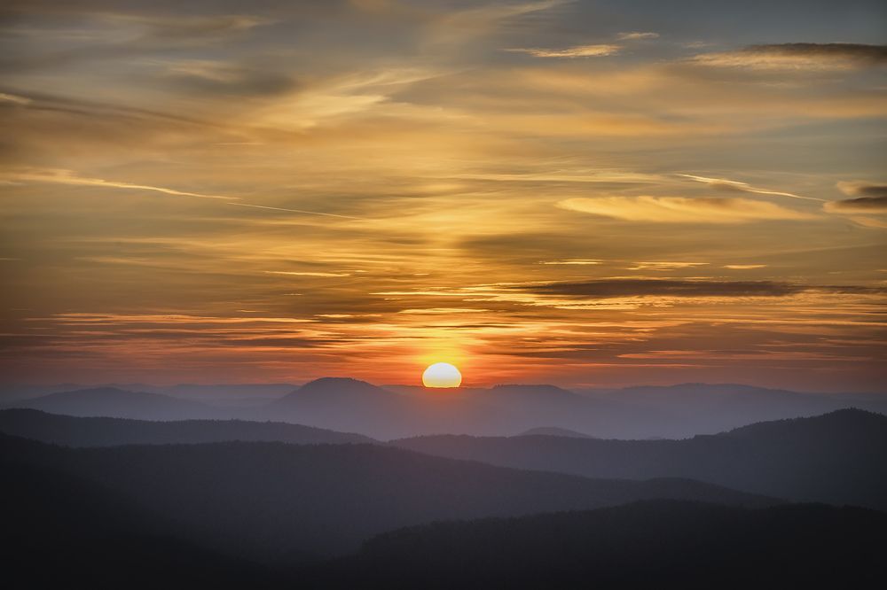 Photograph by Stef Fen