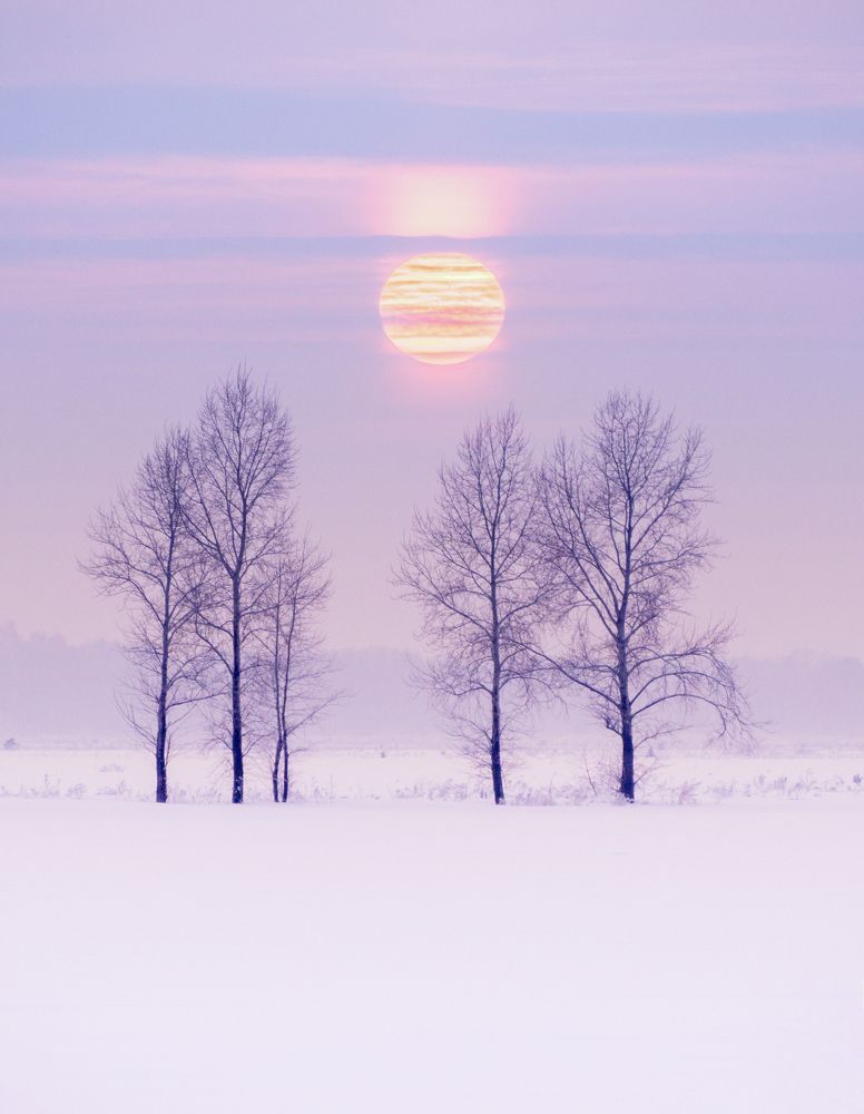 Photograph by Андрей Хаймин