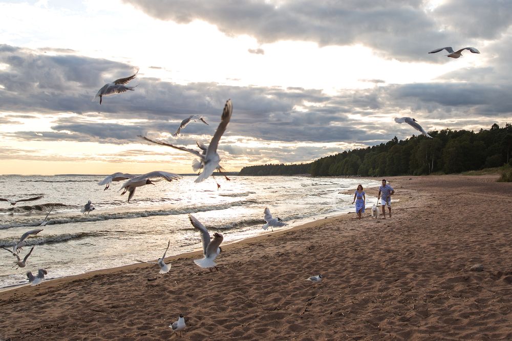 Love-story на заливе