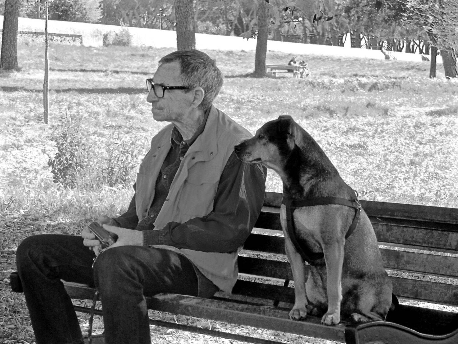 Photo #7303719