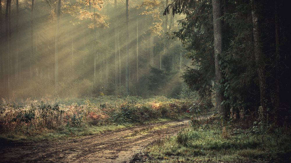 Photograph by Wiktor Kulesa