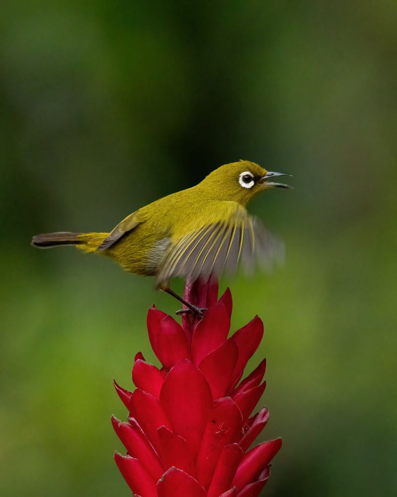 Фотография автора M Anandhu