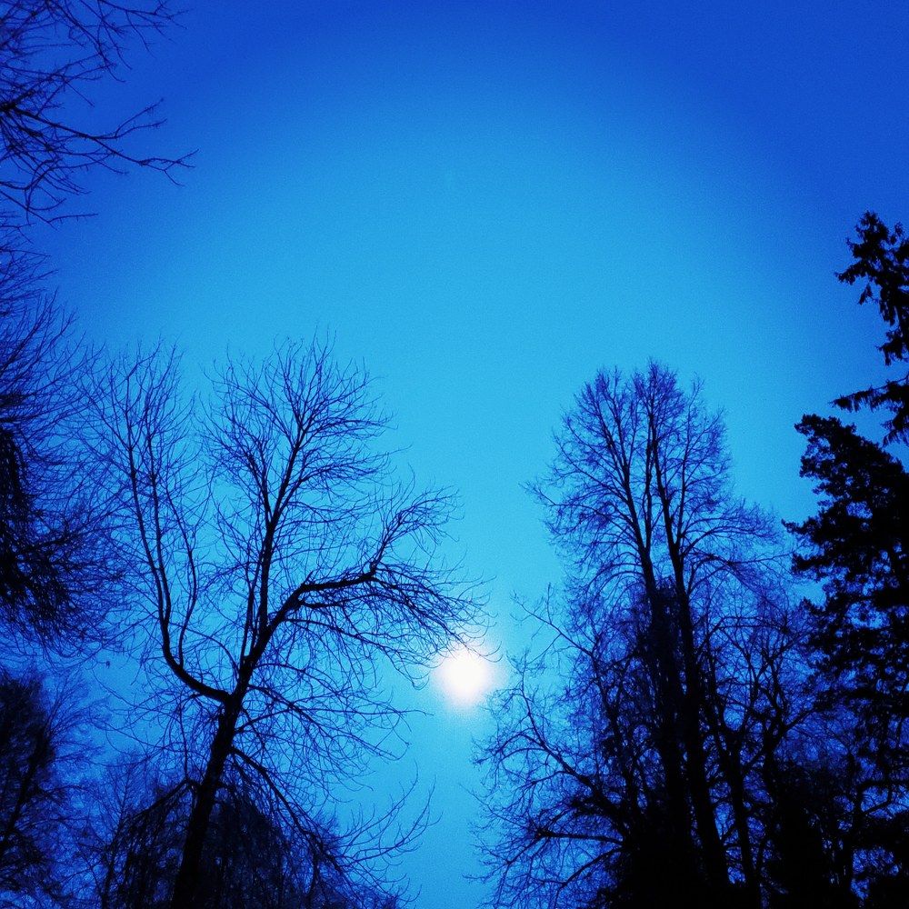 Photograph by Наталья Светлова