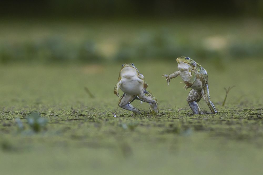 Photograph by Flora Jakab