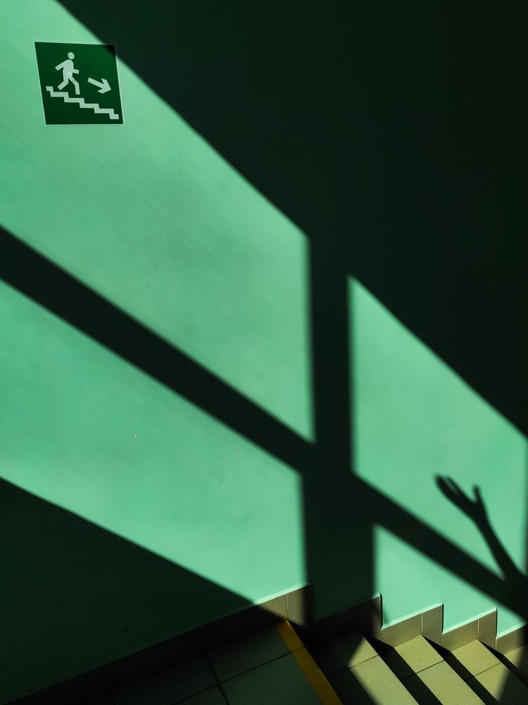 Photograph by Елена Новикова