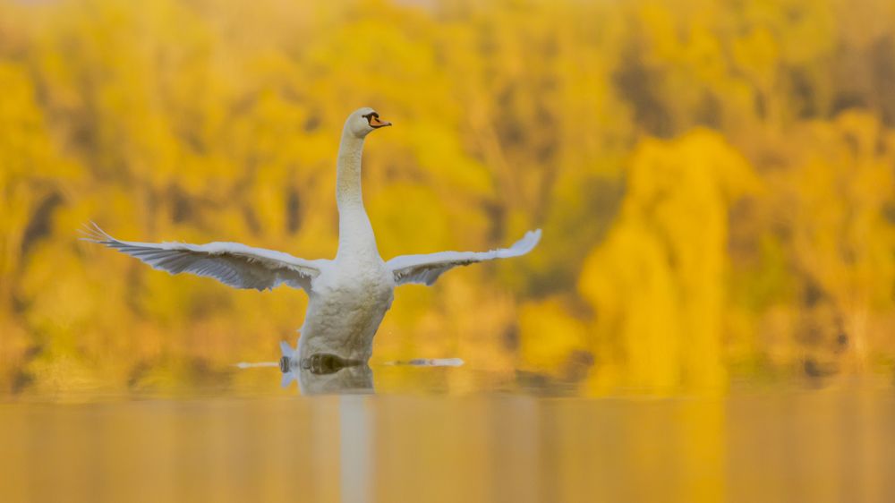 Photograph by Flora Jakab