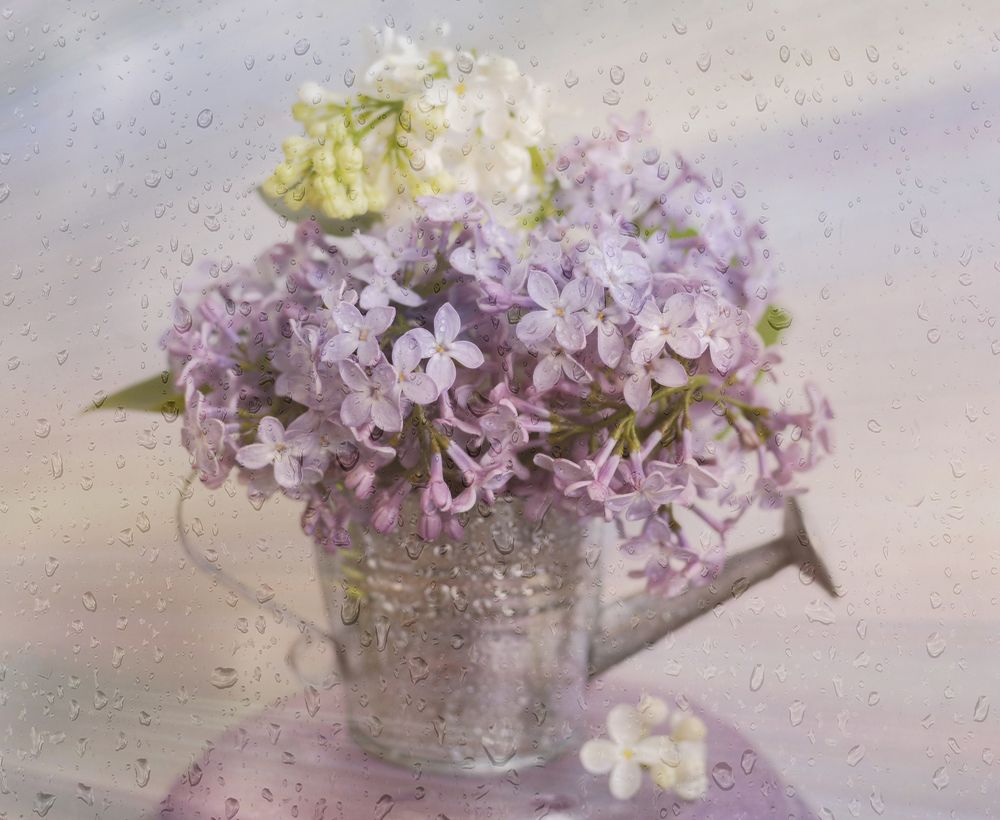 Photograph by Юлия Сергеева