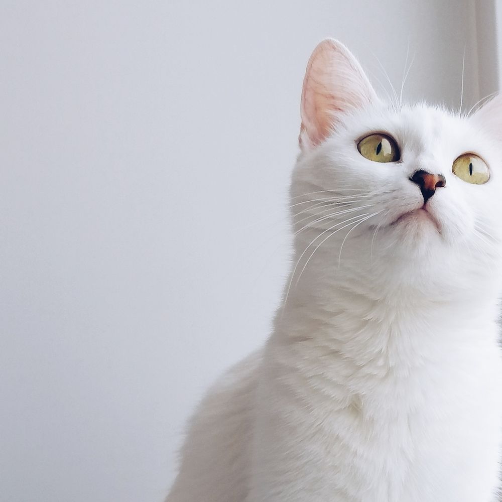 Photograph by Елена