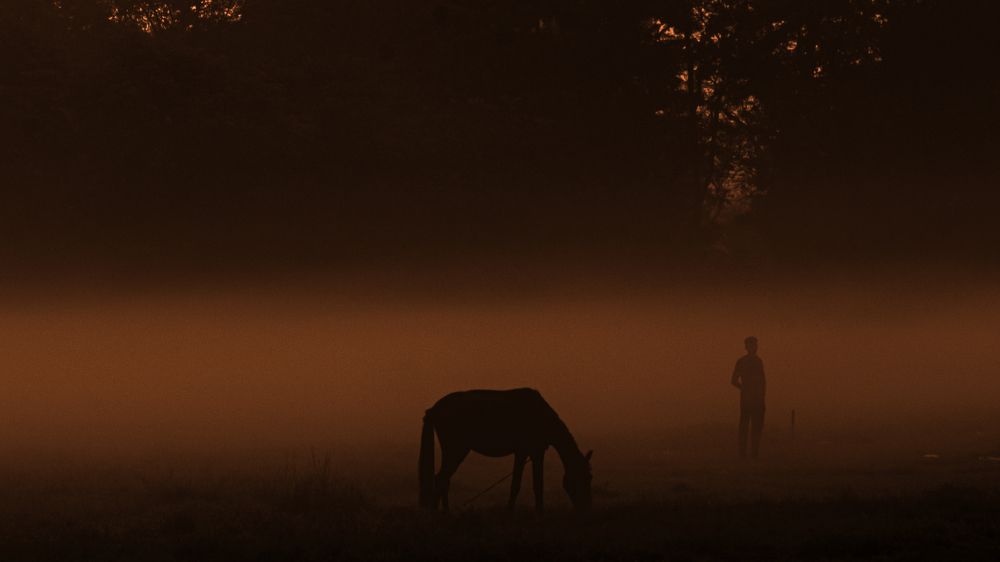 Photograph by Dimitry Kundu