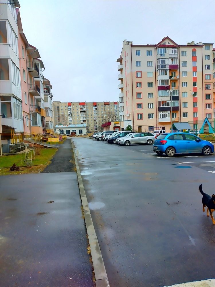 Photograph by Надія Дичка