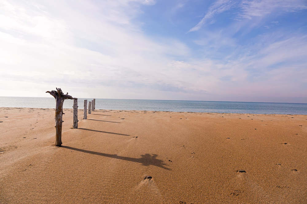 Фотография автора Юлия Воронова