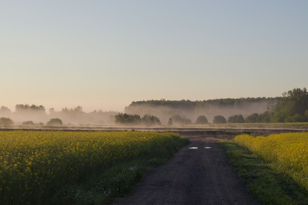 Фотография автора Даниил Бабей