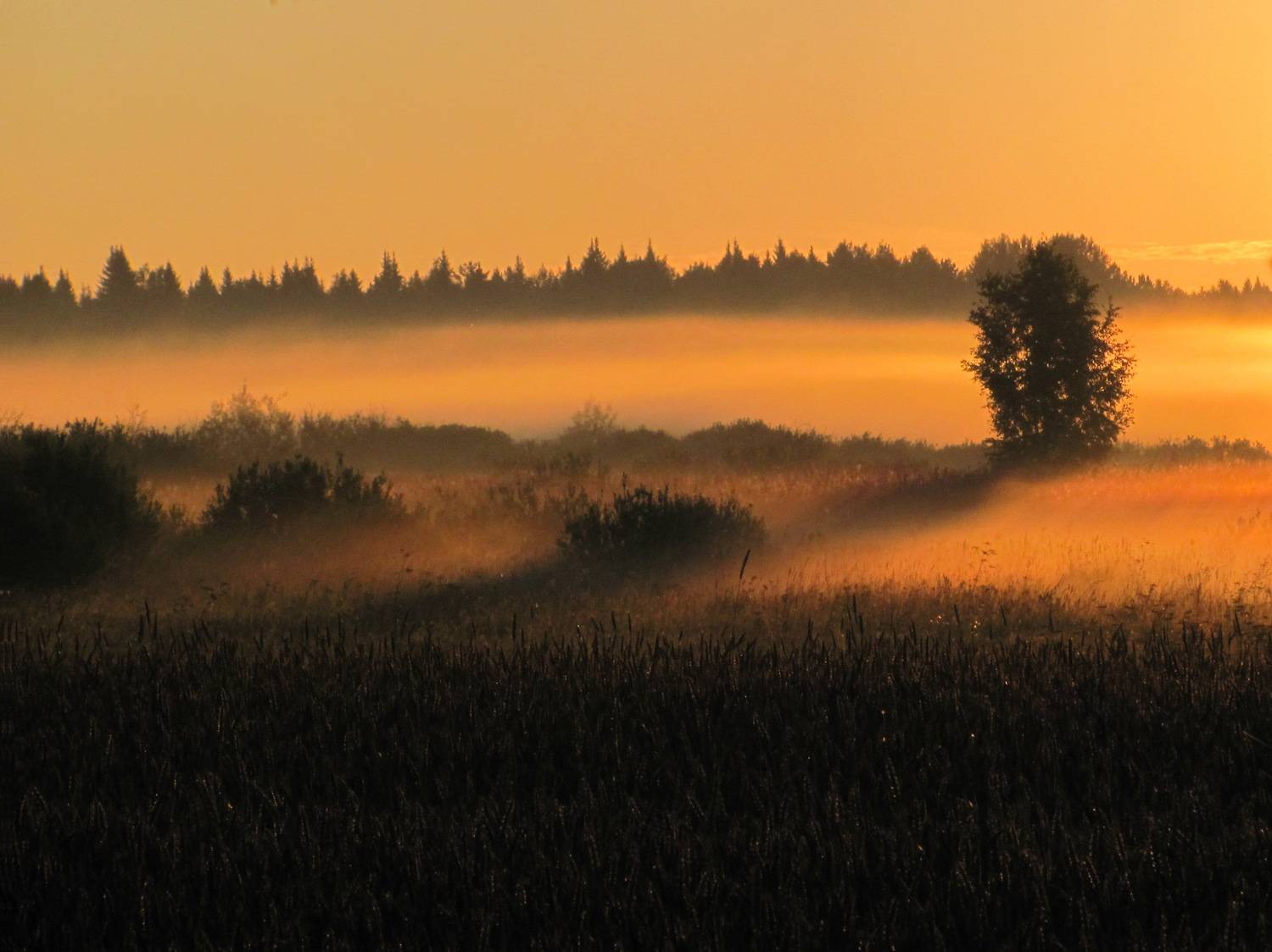 Photo #7304015
