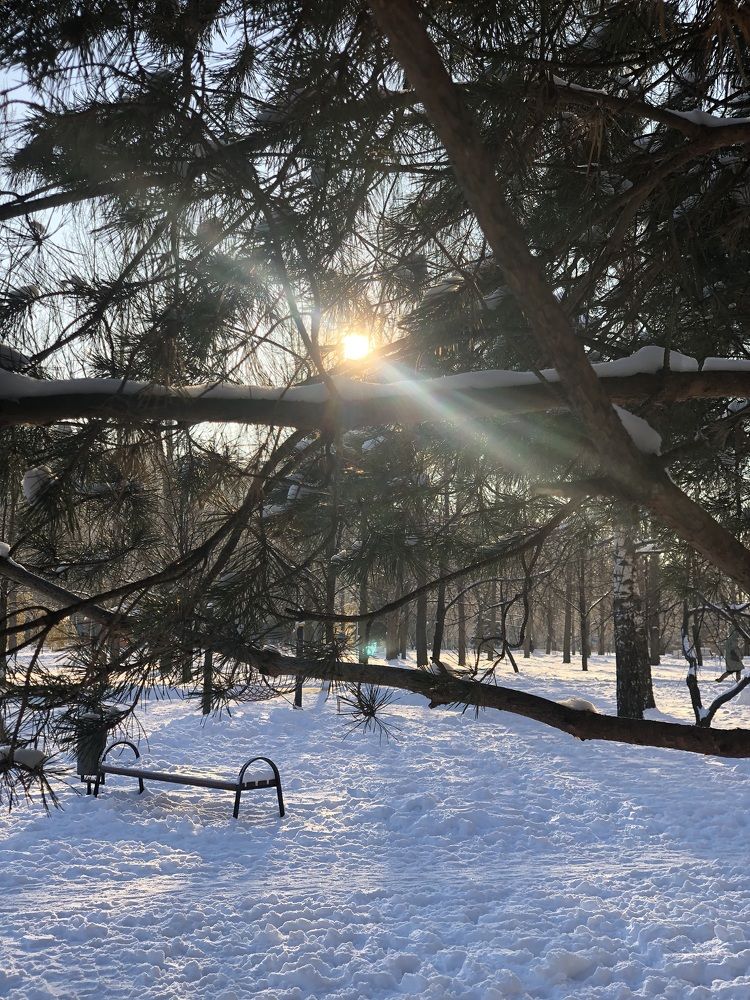 Photograph by Марина