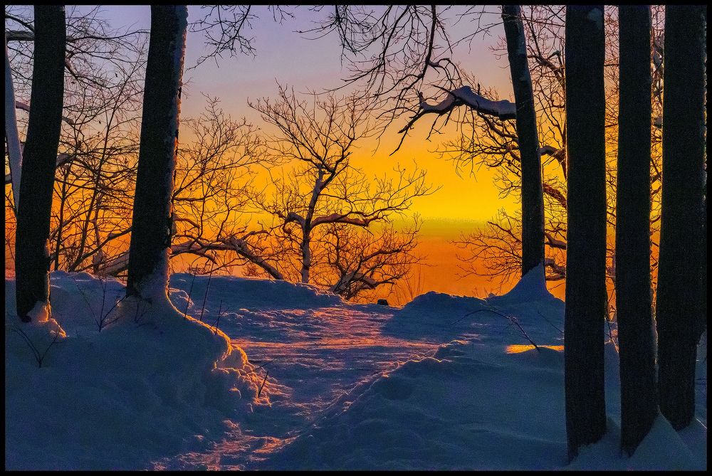 Photograph by Алексей Патлах