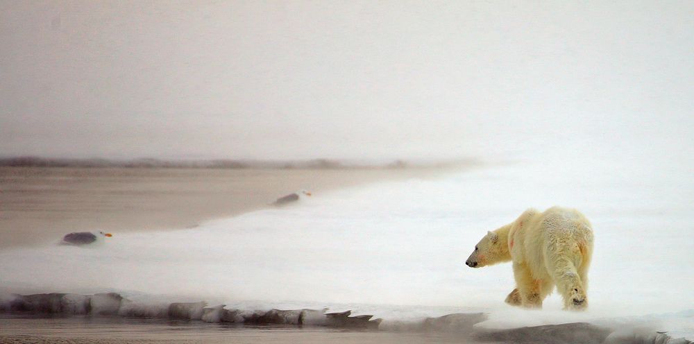 Photograph by Roger Häll