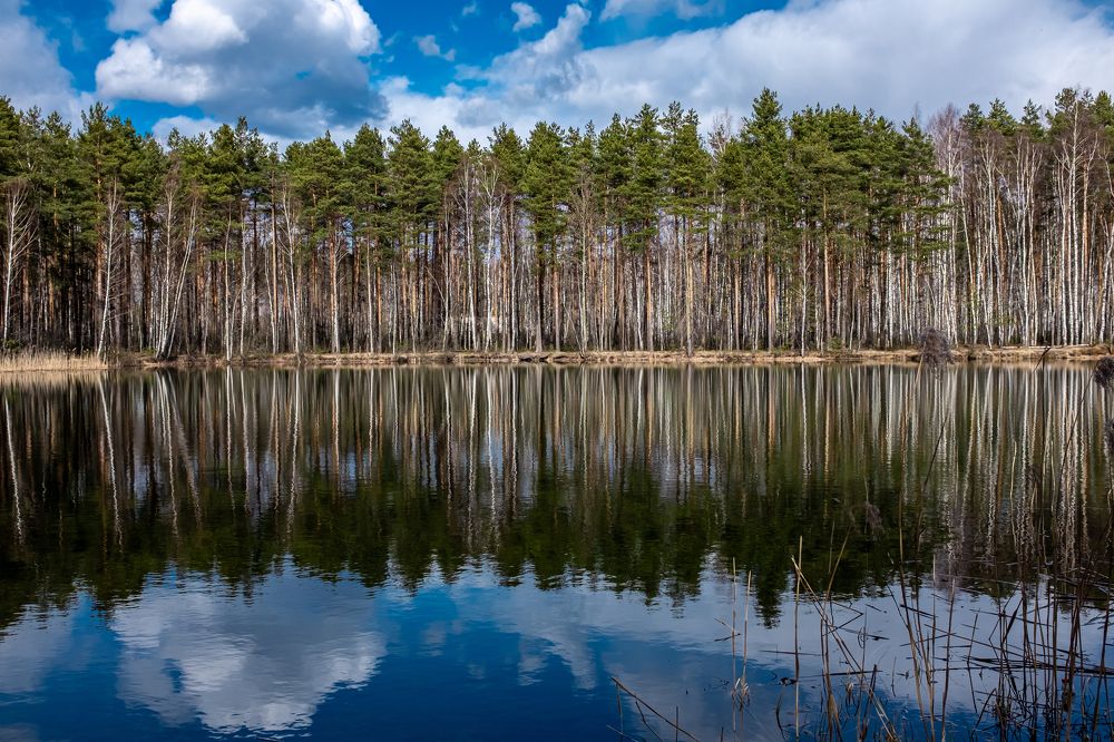 Photograph by Геннадий Сажин