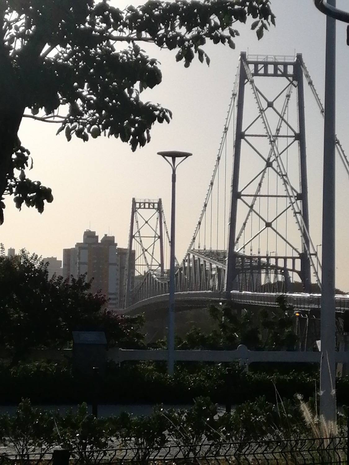 Photo #7304060