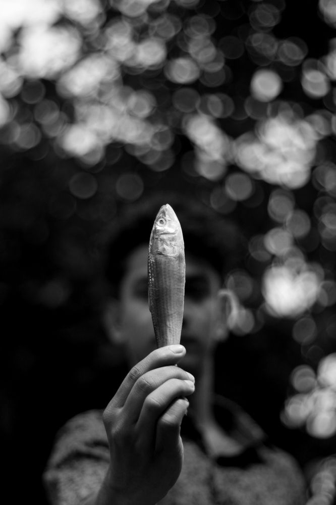 Photograph by Rijas Galleria