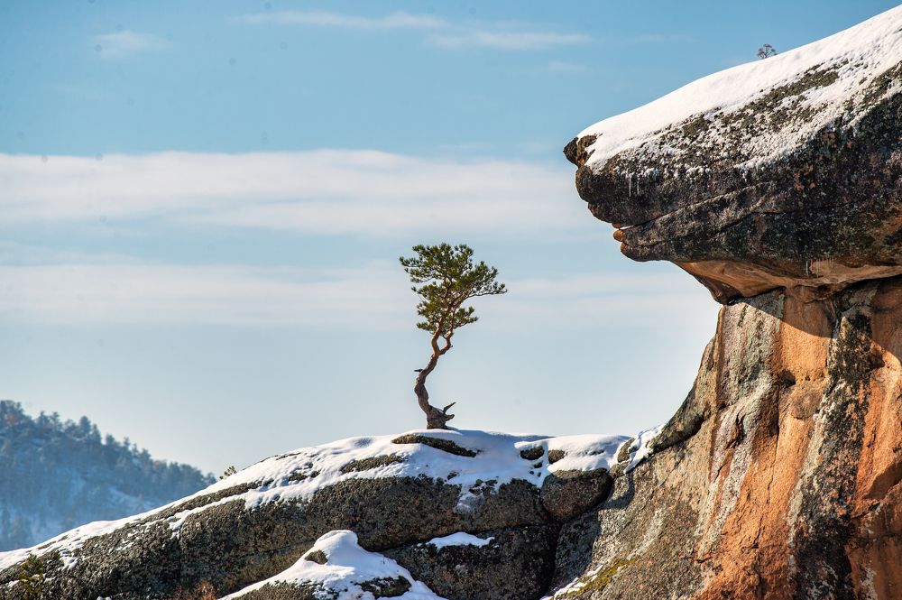 Фотография автора Tahir